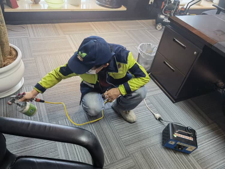 武漢除甲醛別只看排名！3點(diǎn)選對(duì)！